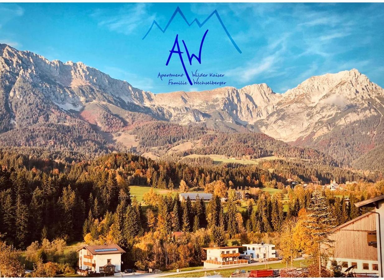 Aw - Apartment Wilder Kaiser Scheffau am Wilden Kaiser Dış mekan fotoğraf